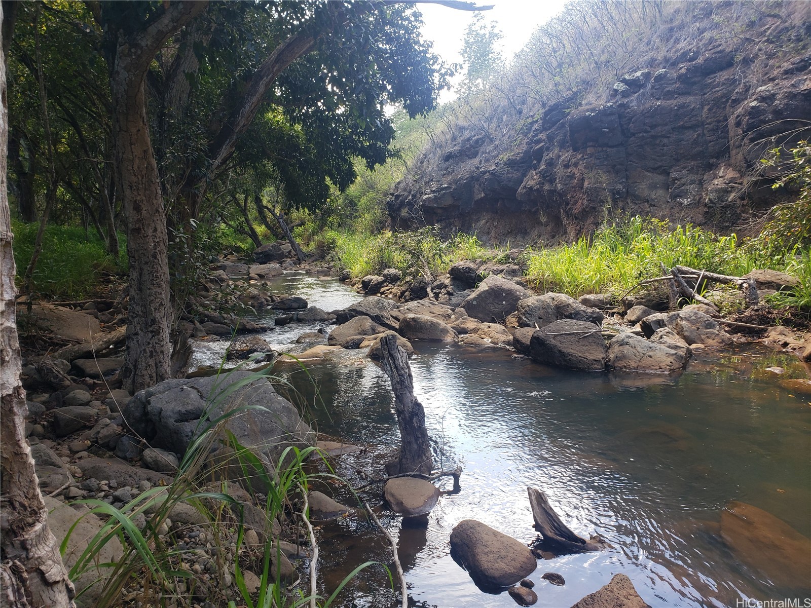 Land in Haleiwa