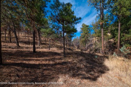 105 Modoc Place, Ruidoso, NM, 88345 | Card Image