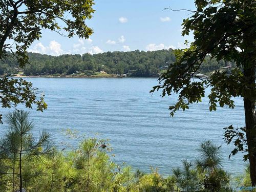 41 acres Big Bear Branch Rd, Double Springs, AL, 35553 | Card Image