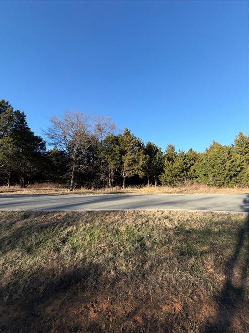 Lot 3 Forest Hills Drive, Gordonville, TX, 76245 | Card Image