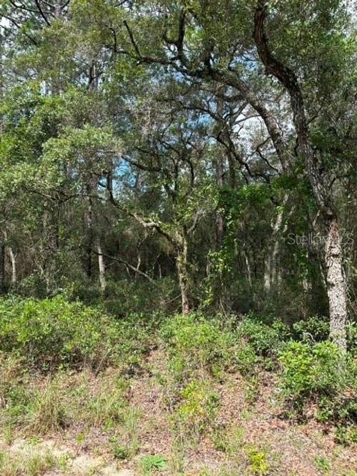 TBA Sw Winding Hills Road, Dunnellon, FL, 34431 | Card Image