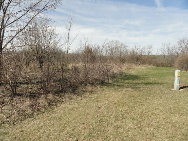 10.45 Acres Ringhand Rd, Home with 0 bedrooms, 0 bathrooms and null parking in SYLVESTER WI | Image 18