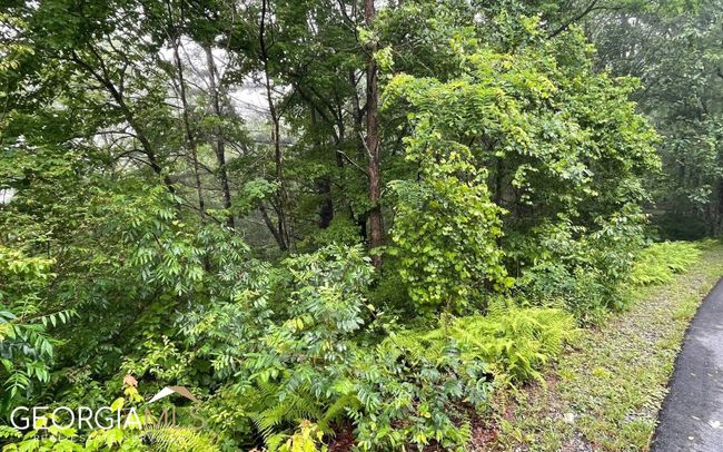 lot 7 Trillium Heights, Home with 0 bedrooms, 0 bathrooms and null parking in Hayesville NC | Image 10