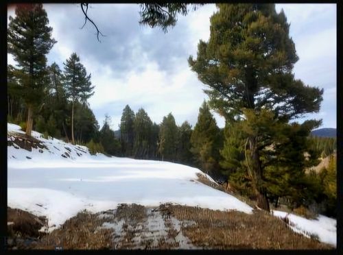 TBD Copper Cross #3969, Moffet Gulch Rd, Divide, MT, 59743 | Card Image