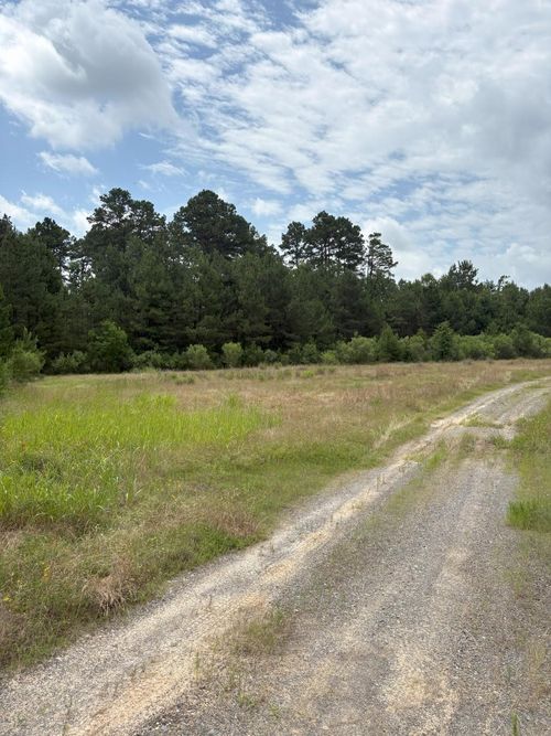 TBD County Road 425, Tenaha, TX, 75974 | Card Image
