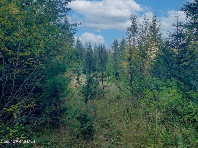 18 Majestic Mountain Rd, Home with 0 bedrooms, 0 bathrooms and null parking in Clark Fork ID | Image 43