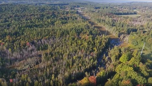 Lots A & B Schuss Mountain Road, Custer Township, MI, 49659 | Card Image