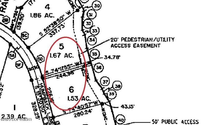 Plat | Image 6