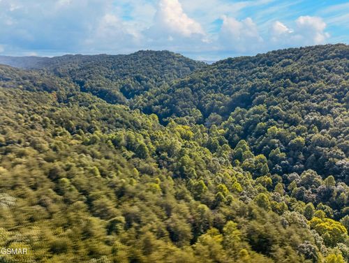 1314 Speedwell Chuch Rd, Bulls Gap, TN, 37711 | Card Image