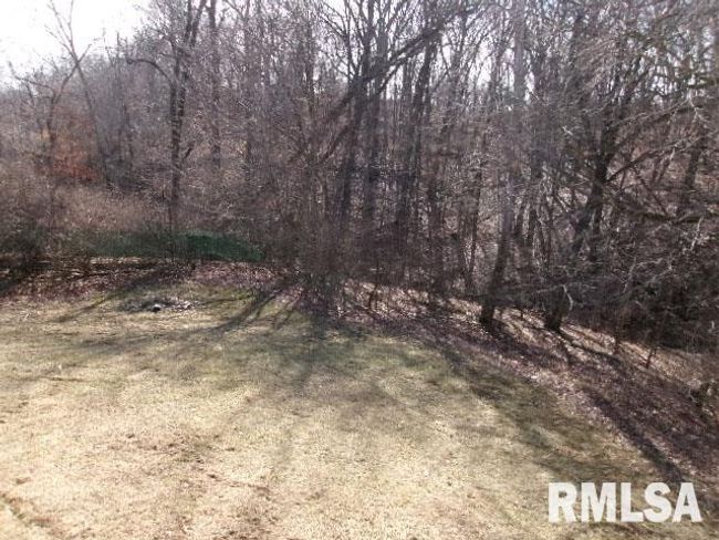 1309 N Woodland Ln, House other with 2 bedrooms, 1 bathrooms and null parking in Metamora IL | Image 21