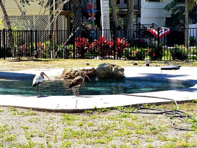 3348 6 Th Ave, House other with 1 bedrooms, 1 bathrooms and null parking in St. James City FL | Image 33