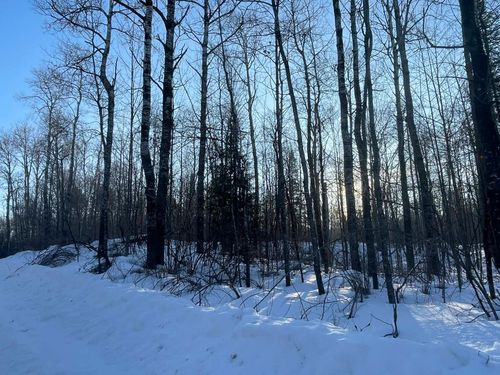 ON Blockhouse Lake Rd, Park Falls, WI, 54552 | Card Image