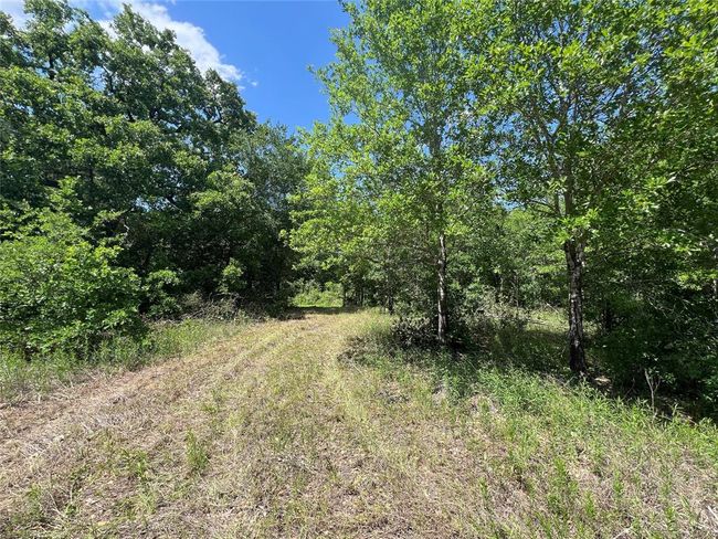2 S Richards St, Home with 0 bedrooms, 0 bathrooms and null parking in Anderson TX | Image 6