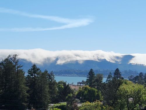 53 Mercury Ave, Belvedere Tiburon, CA, 94920-1344 | Card Image