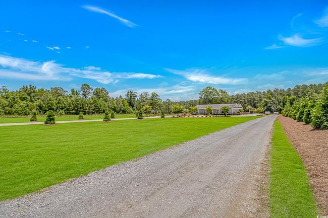 View of dirt / gravel driveway featuring view of scattered trees | Image 35