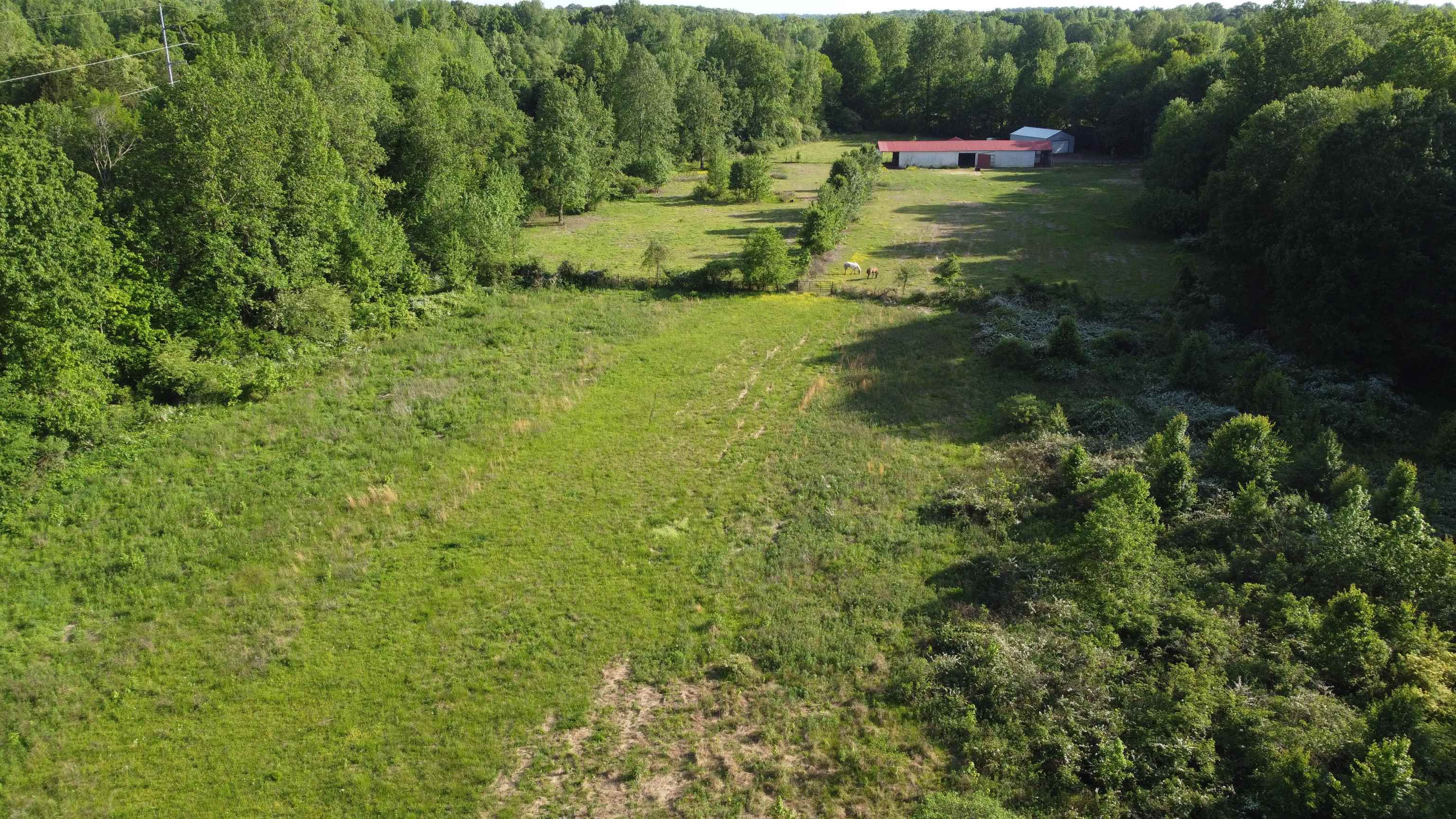 Leota Dr, Lexington, TN 38351
