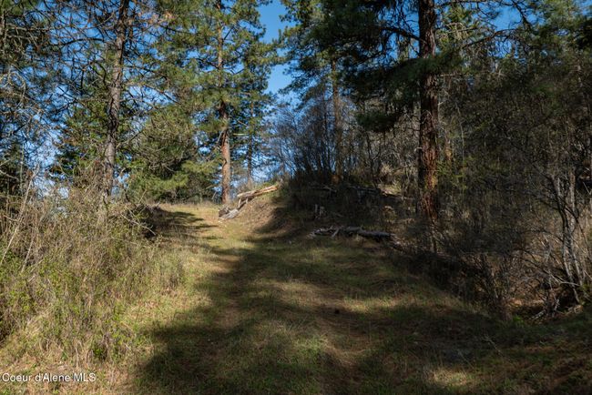 262 North Side Road, Home with 0 bedrooms, 0 bathrooms and null parking in Calder ID | Image 46