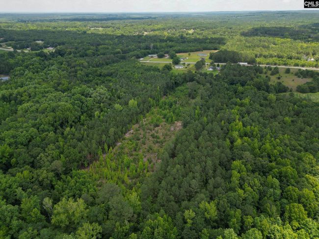 00 Kirkland Rd, Home with 0 bedrooms, 0 bathrooms and null parking in Rembert SC | Image 9