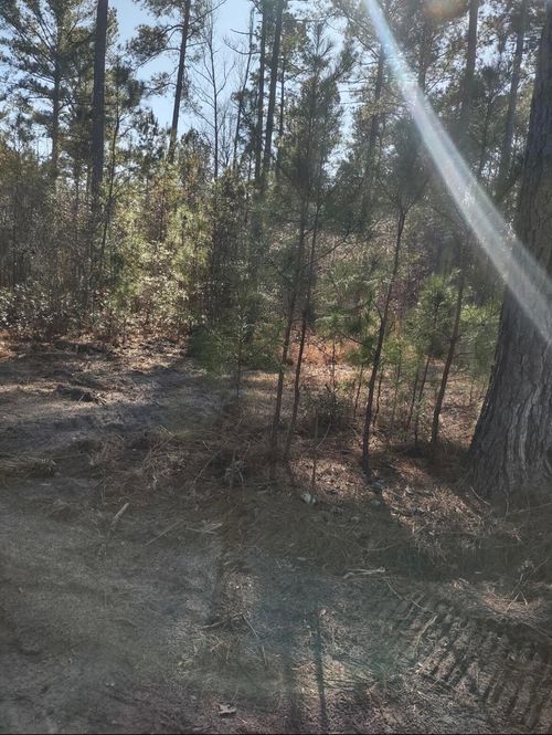 71 Breanna Ct, Cottageville, SC, 29435-3997 | Card Image