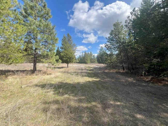 892 W Telephone Rd, Home with 0 bedrooms, 0 bathrooms and null parking in Newport WA | Image 22