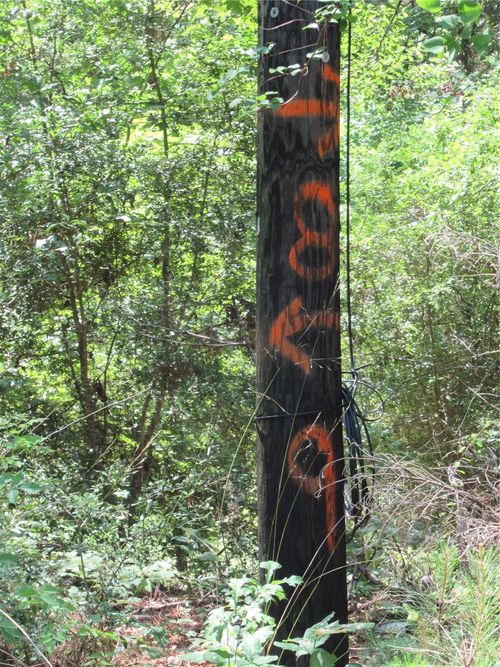 337 Noel, Livingston, TX, 77351-8181 | Card Image