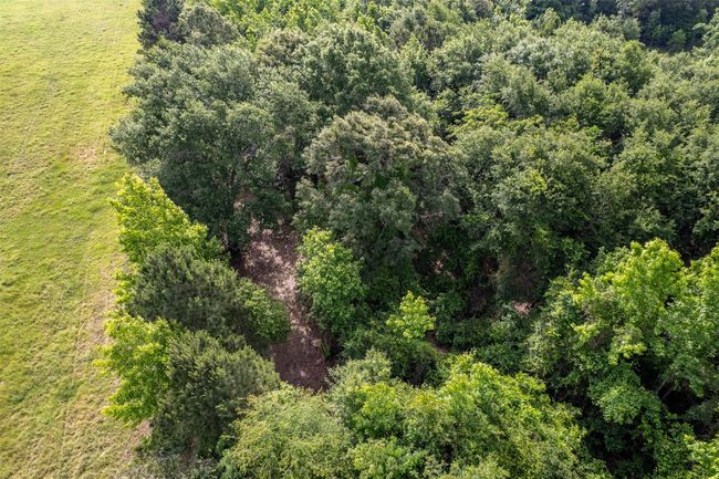 0 Johnson Rd, Home with 0 bedrooms, 0 bathrooms and null parking in Winona TX | Image 23