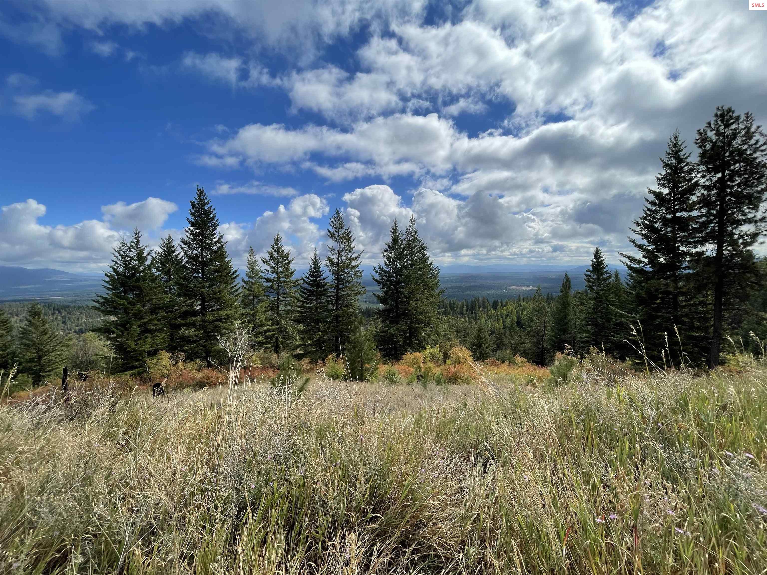 Land in Priest River 4