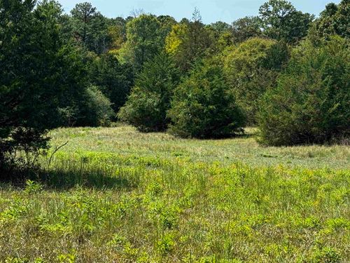 TBD Lynda Ln, Oden, AR, 71961 | Card Image