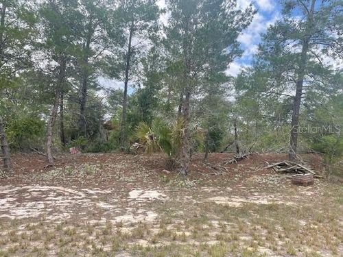 1342 Homosassa Dr, Poinciana, FL, 34759 | Card Image