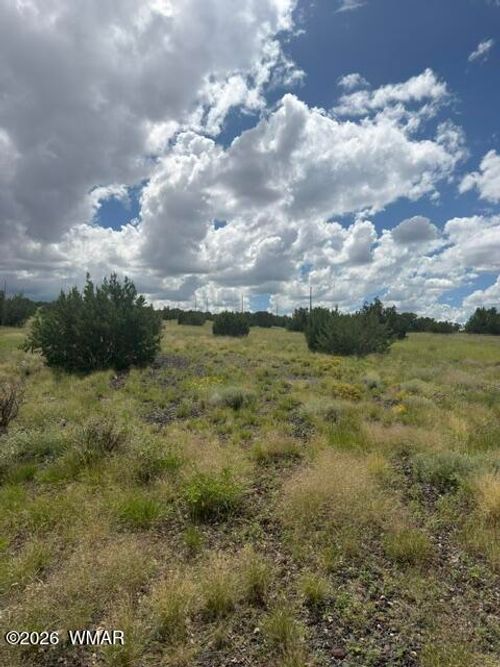 TBD Cr 5169, Concho, AZ, 85924 | Card Image