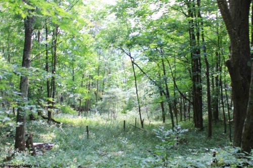 high-mountain-Lot 7 High Mountain Road, Harman, WV, 26270 | Card Image