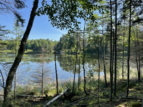 Lot A Red Spruce Way, Mount Desert, ME, 04660 | Card Image