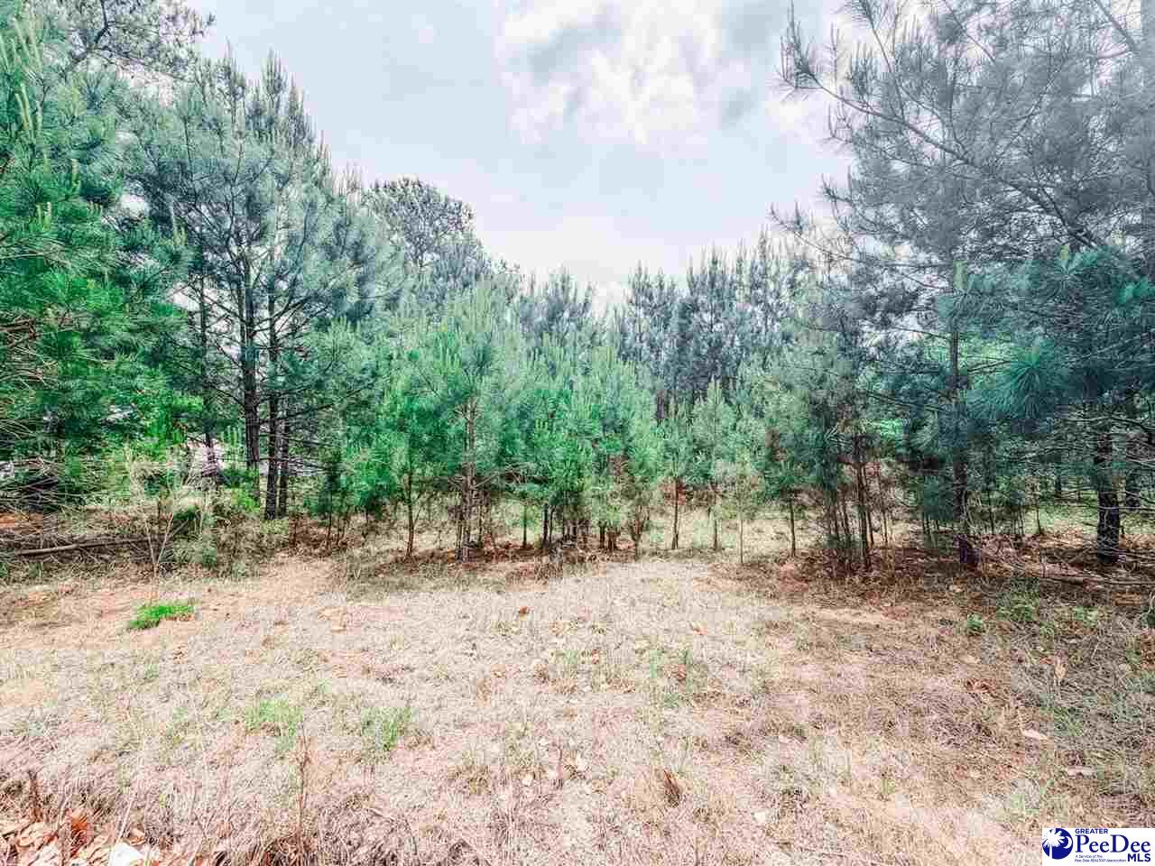 Land in Latta 2