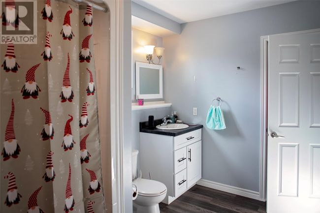 16 Cedar Lane, Home with 4 bedrooms, 2 bathrooms and null parking in Springdale NL | Image 32