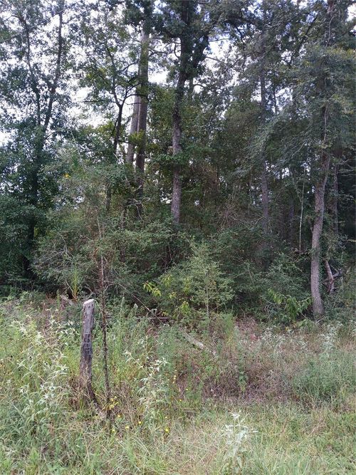 7886 Coral Bean Ln, Plantersville, TX, 77363-5044 | Card Image