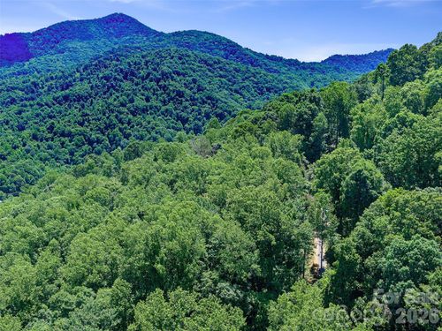 23-9999 Lovebird Ln, Candler, NC, 28715 | Card Image