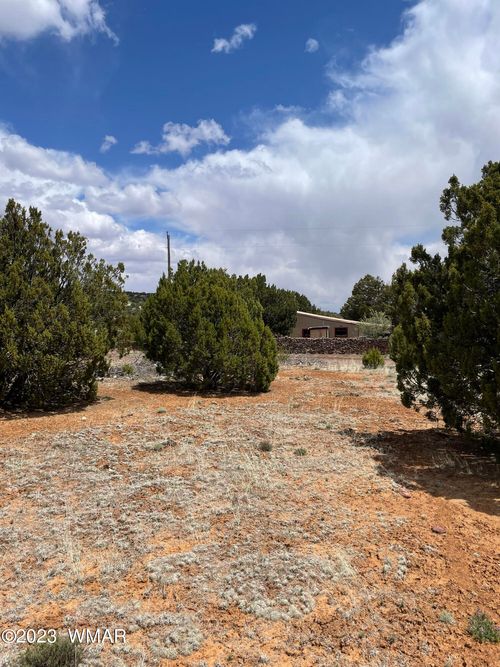 34 Meadow Lane, Concho, AZ, 85924 | Card Image