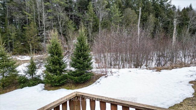 10568 Highway 28, House other with 3 bedrooms, 2 bathrooms and 2 parking in Apsley ON | Image 23