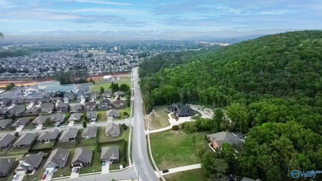 12313 Bell Rd Sw, House other with 4 bedrooms, 3 bathrooms and null parking in Huntsville AL | Image 49