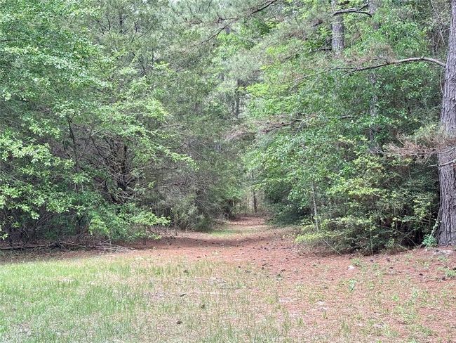 7481 County Road 232, Home with 0 bedrooms, 0 bathrooms and null parking in Richards TX | Image 9