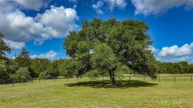 1470 S Nassau Rd, Home with 3 bedrooms, 3 bathrooms and null parking in Round Top TX | Image 4