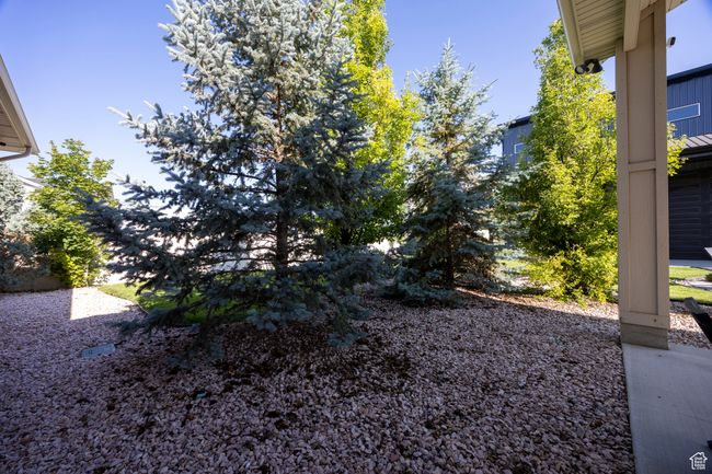 View of yard | Image 85