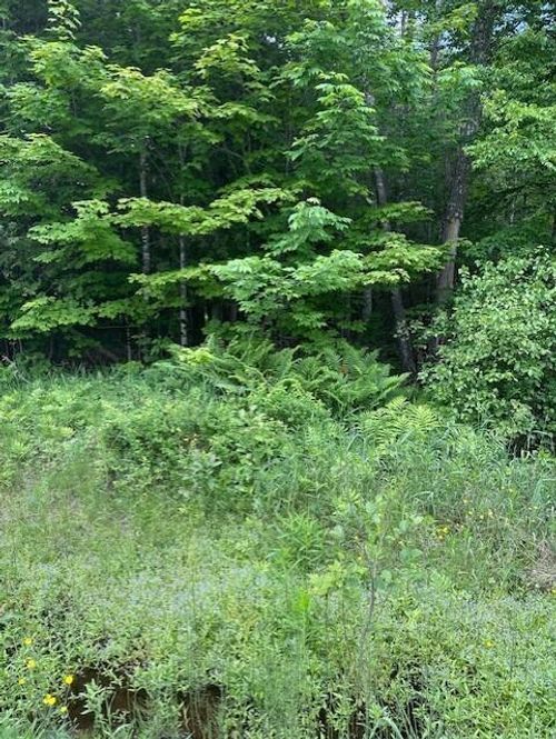 33 Avenue Road, Corinth, ME, 04427 | Card Image