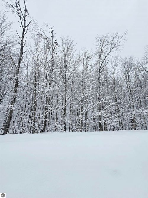 394 Pinedale Drive, Elmira, MI, 49730 | Card Image