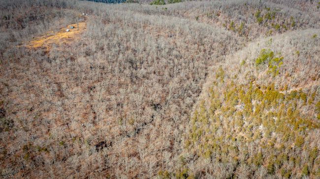 00 Bear Skin Dr, Home with 0 bedrooms, 0 bathrooms and null parking in Harriet AR | Image 29
