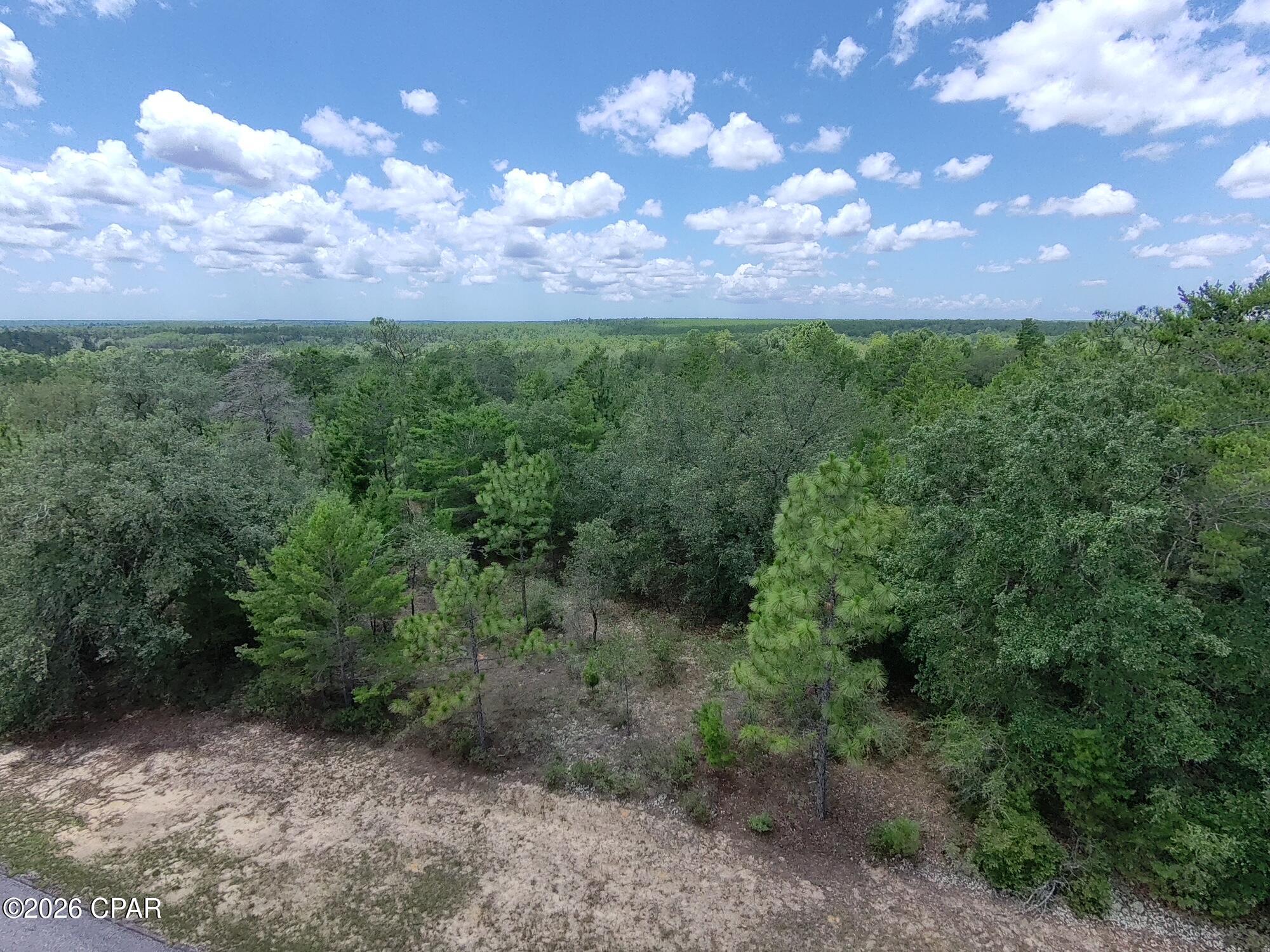 Land in Chipley 5