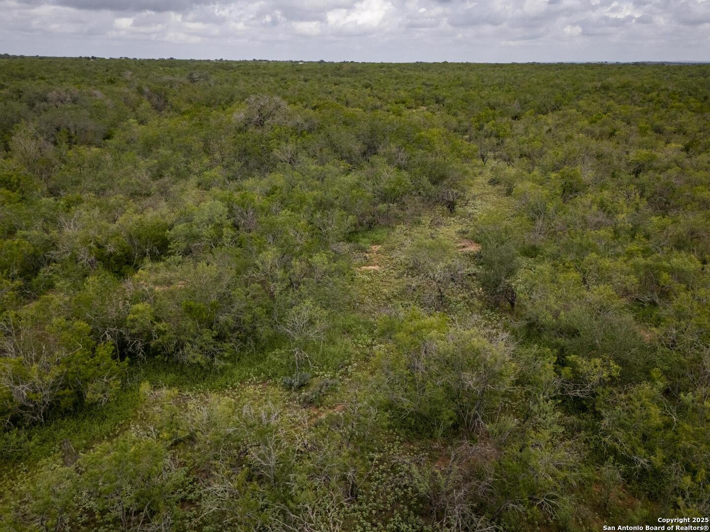 Land in Floresville 2