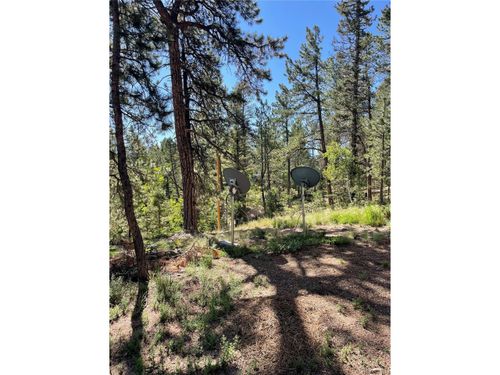 464 Saddleback Creek Dr, Florissant, CO, 80816 | Card Image