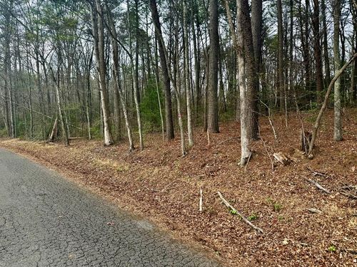 0 Nicholson Cir, Turtletown, TN, 37391 | Card Image