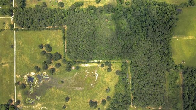 00 Lloyd Fregia Road, Home with 0 bedrooms, 0 bathrooms and null parking in Batson TX | Image 8